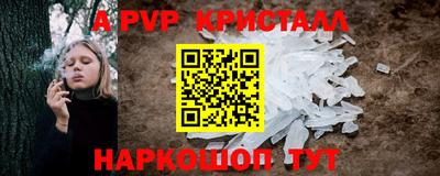 СК Владикавказ