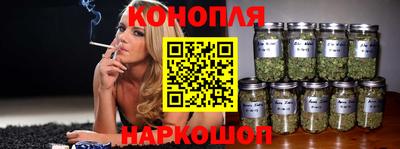 бошки Владимир