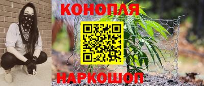 бошки Владимир