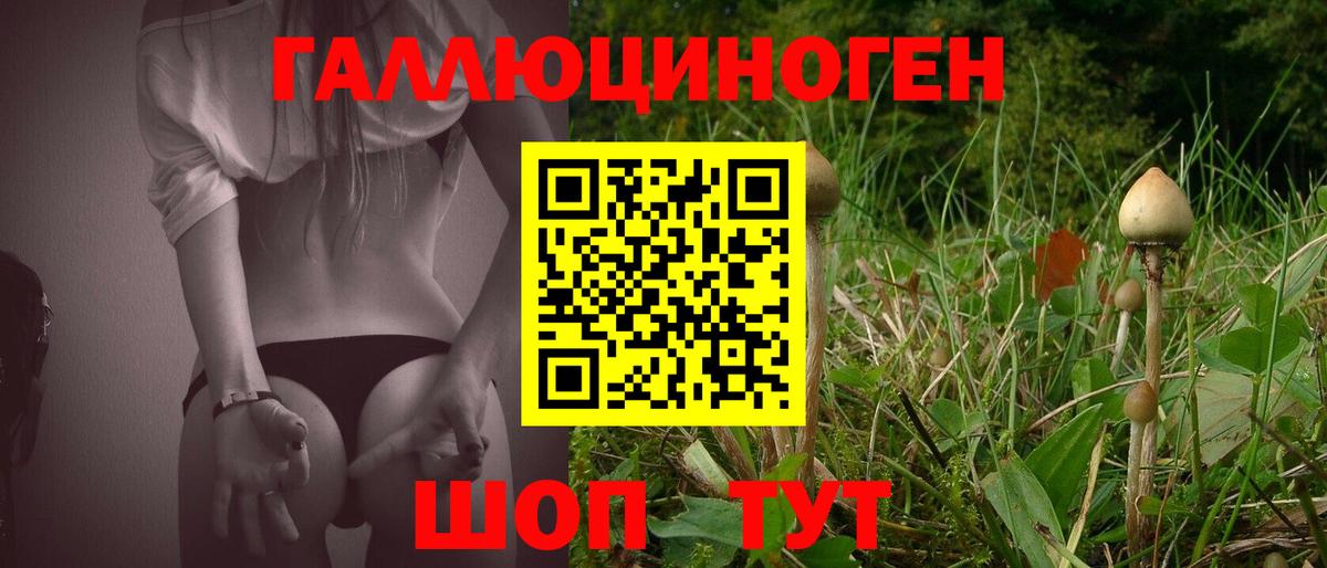 Галлюциногенные грибы ЛСД  Вход с VPN  где найти   Галлюциногенные грибы Psilocybe  Губаха 